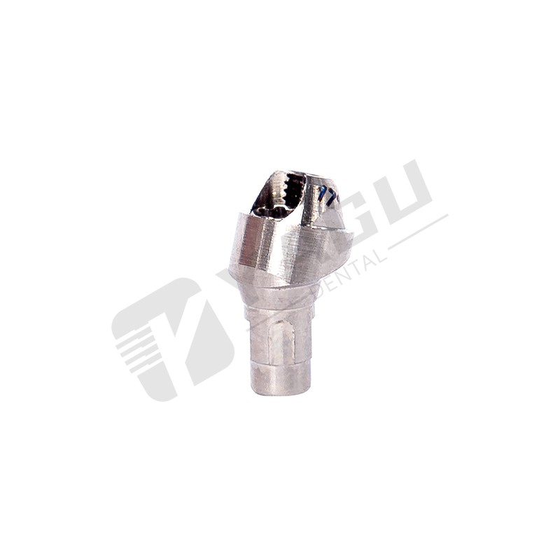 Angled Abutment Straumann